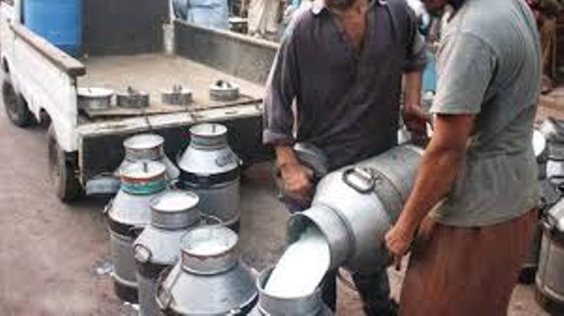 कोरोनाका कारण डेरी उद्योगको ६० प्रतिशत बजार गुम्यो